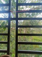Balcony 1