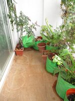 Balcony 1