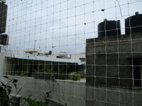 Balcony 1