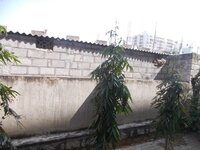 Balcony 2