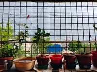 Balcony 1