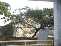 Balcony 1