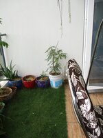 Balcony 1