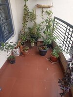 Balcony 2