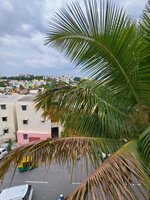 Balcony 2