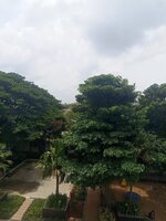 Balcony 1