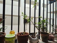 Balcony 1