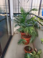 Balcony 1