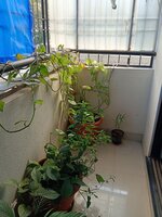 Balcony 1