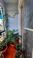 Balcony 1