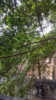 Balcony 3