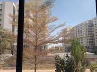 Balcony 4