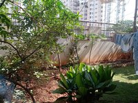 Garden 1