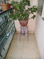 Balcony 1