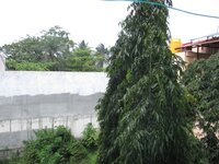 Utility 1
