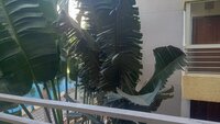 Balcony 2