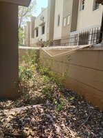 Garden 1