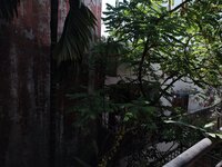 Balcony 2