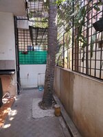 Garden 1