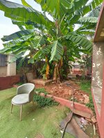 Garden 1