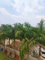 Terrace 1