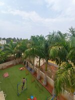 Terrace 1