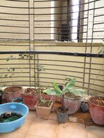 Balcony 1
