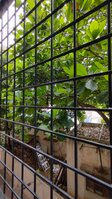 Balcony 2