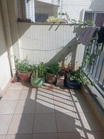 Balcony 1
