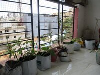 Balcony 2