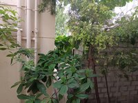 Balcony 2