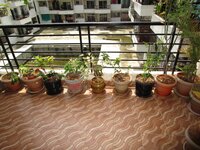 Balcony 2