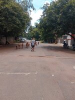 Unit:  Approach Road
