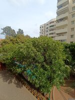 Balcony 2
