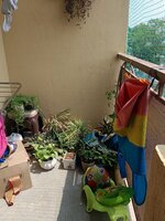 Balcony 2