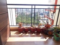 Balcony 1
