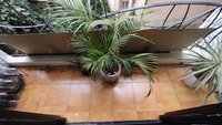 Balcony 1