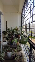 Balcony 1