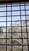 Balcony 1