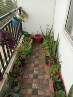 Balcony 1