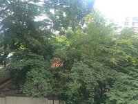 Balcony 1