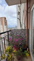 Balcony 1