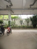 parkings 1