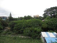 Balcony 1