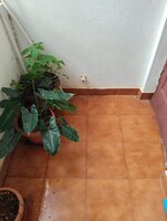 Balcony 1