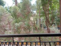 Balcony 2