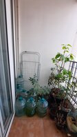 Balcony 1