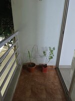 Balcony 1
