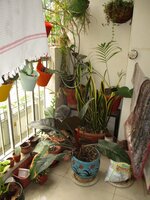 Balcony 1