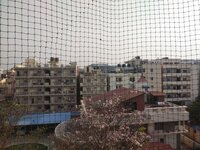 Balcony 2